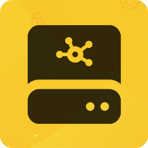 Server Pro 2016 Networking Logo